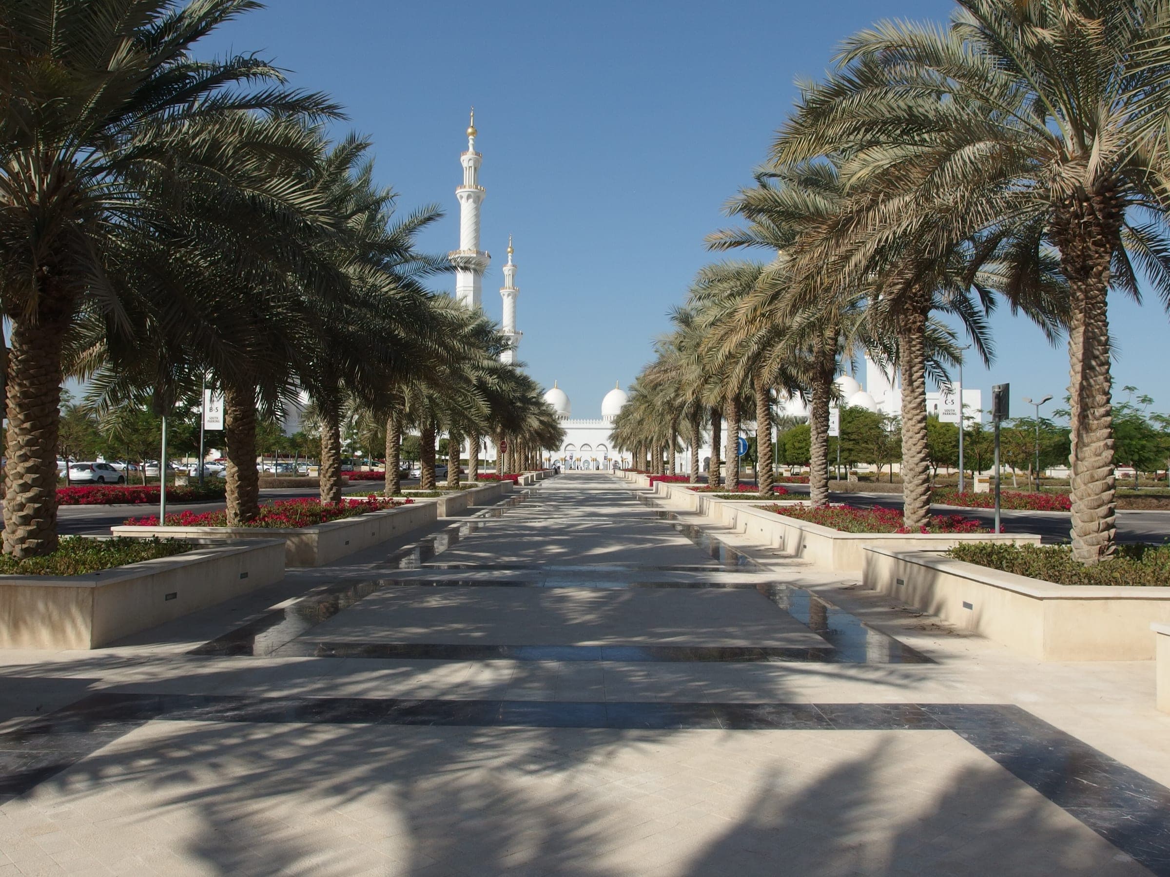 ممرّ من النخيل يؤدّي إلى جامع الشيخ زايد الكبير