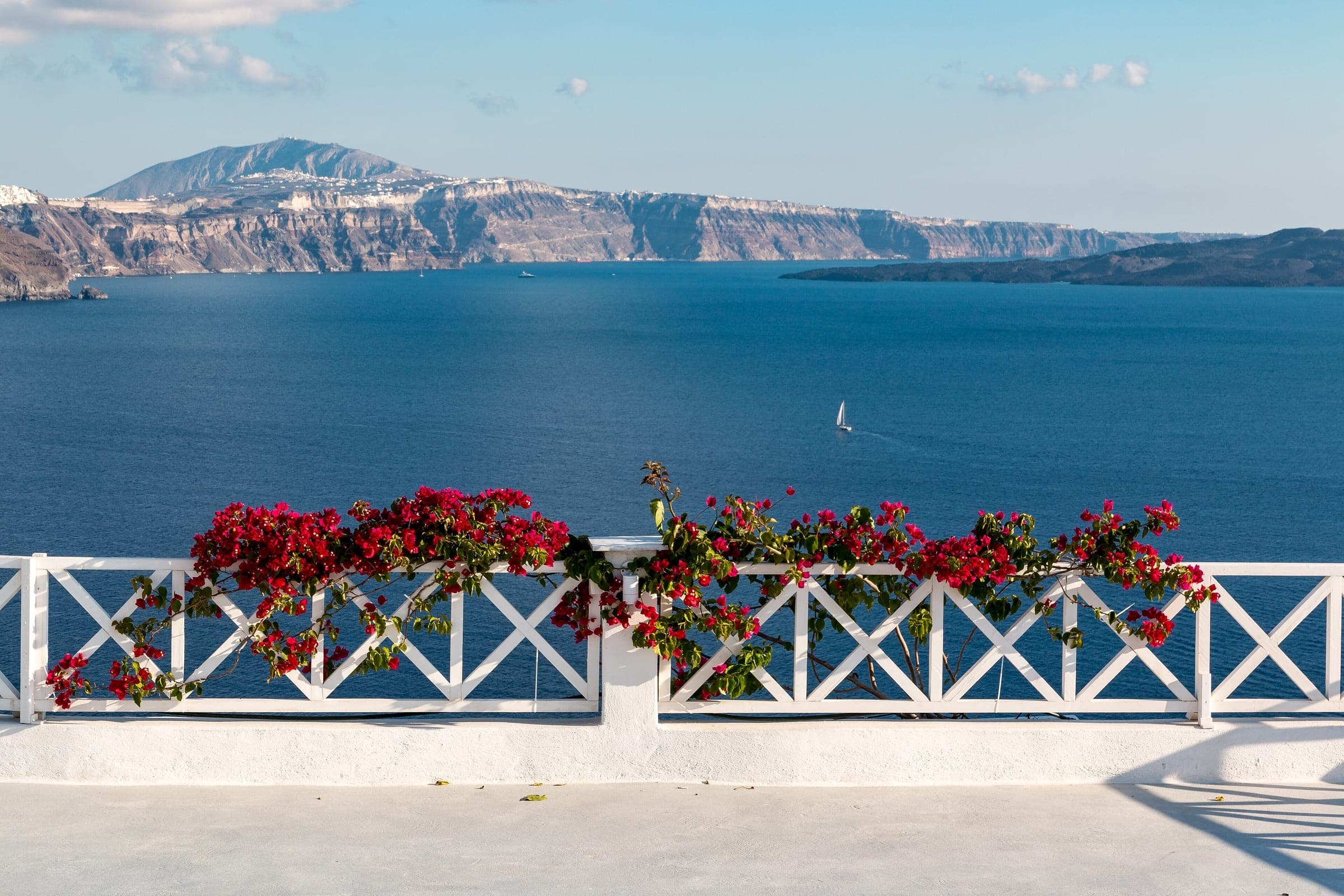 La caldeira de Santorin vue depuis une terrasse fleurie