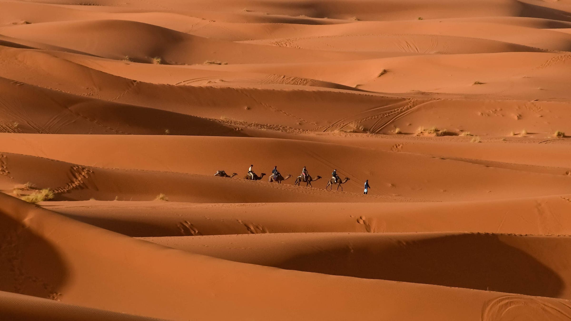 قافلة جمال على كثبان مرزوكة